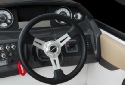 Bodensee Motorboot Charter Glastron Fahrerstand Bodensee Motorboot Charter Glastron Fahrerstand
